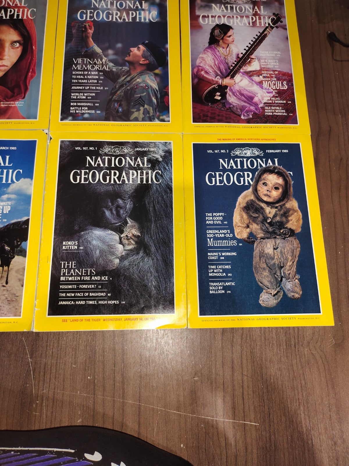 National Geographic - 1985 - January-June - Case Faux Leather - Magazines