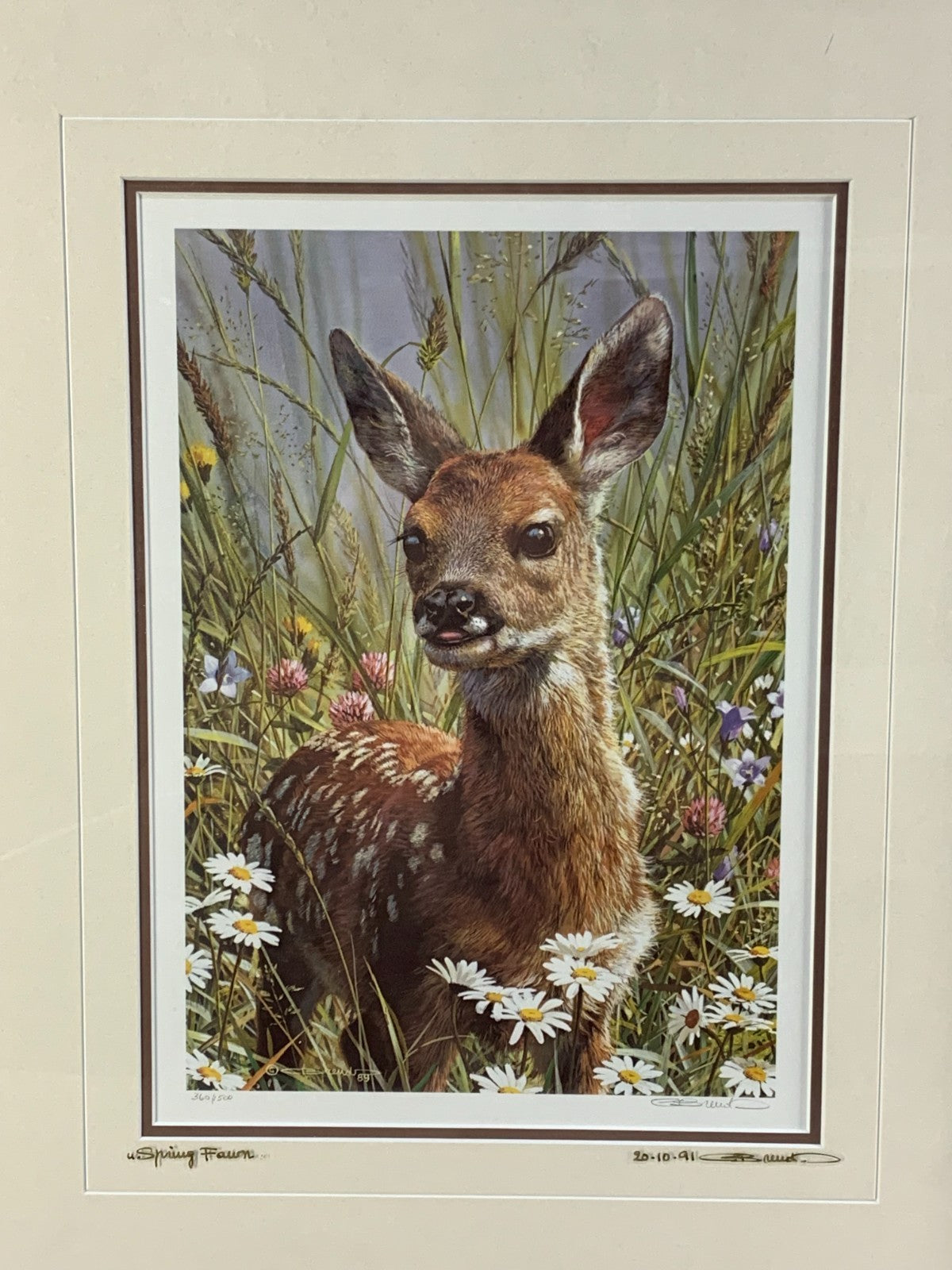 Rare Carl Brenders " Spring Fawn" 1989, Signed frame 360/1500