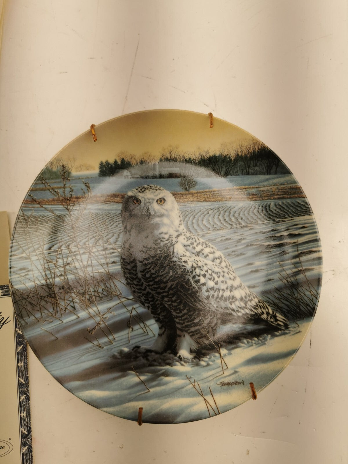 1989 The Snowy Owl Collector Plate W/ Certificate