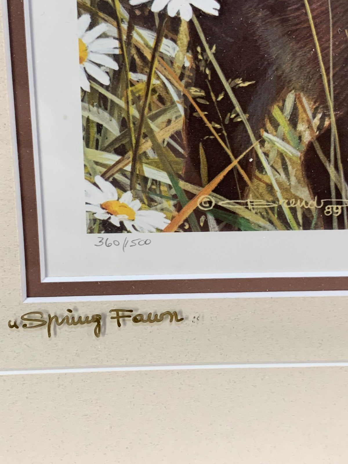Rare Carl Brenders " Spring Fawn" 1989, Signed frame 360/1500