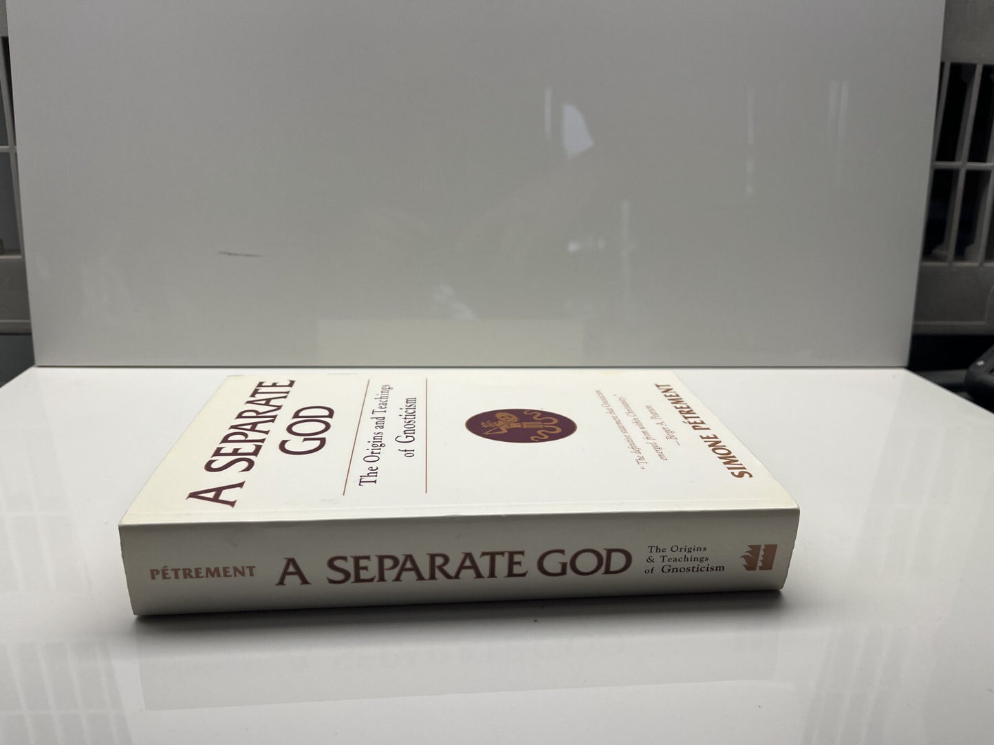 A Separate God: The Origins and Teachings of Gnosticism - Simone Petrement