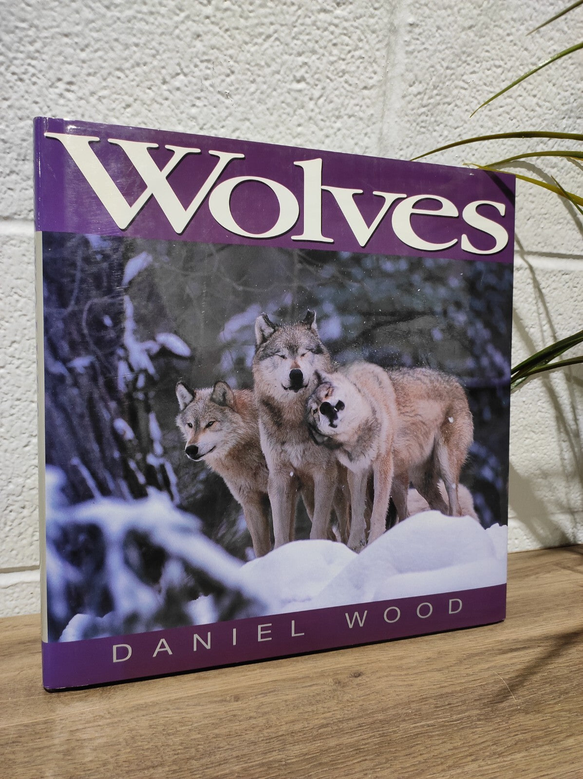 Wolves by Daniel Wood - Hardcover 1995