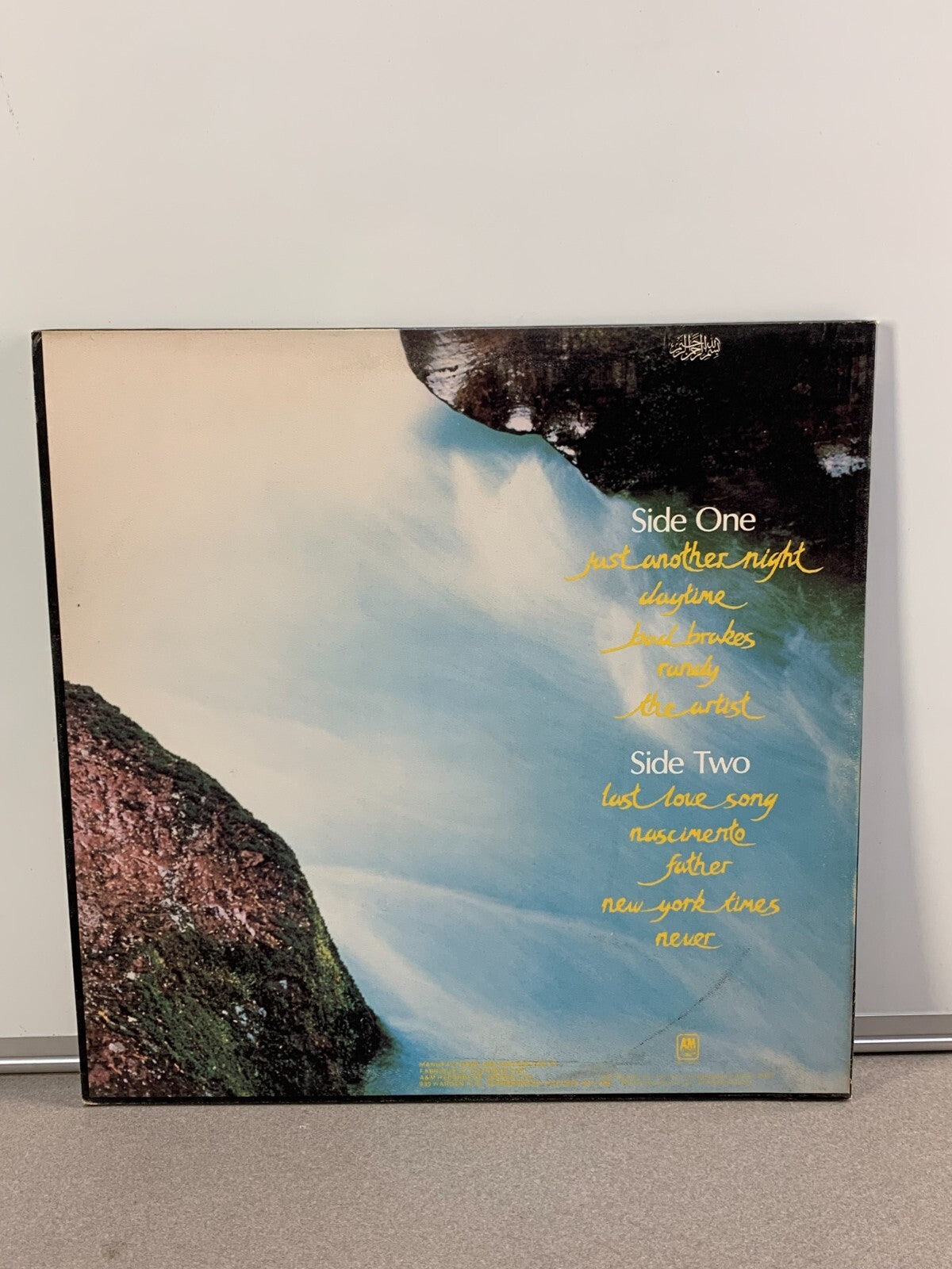 Cat Stevens | LP | Back to earth (1978)...