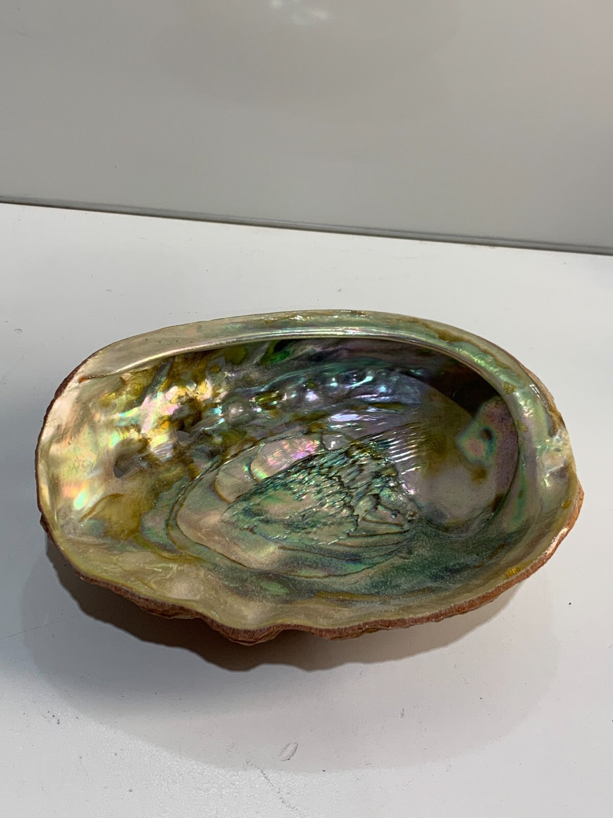 Vintage Iridescent Shell Trinket Dish
