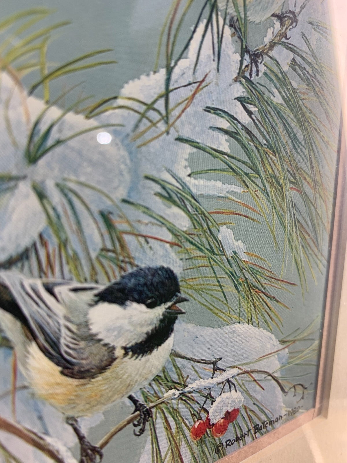 Winter Song - Chickadees by Robert Bateman