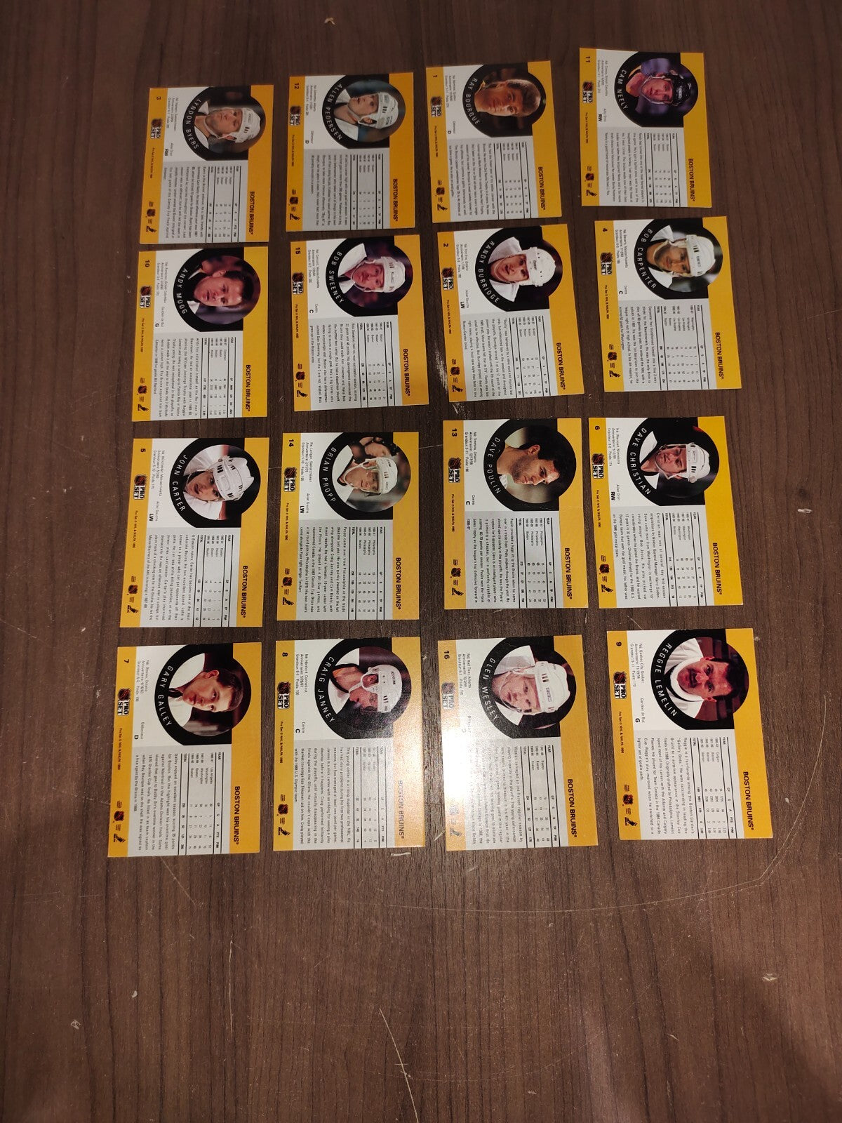 Rare Collectible NHL - Boston Bruins Cards PRO-SET - Set of 16 Cards