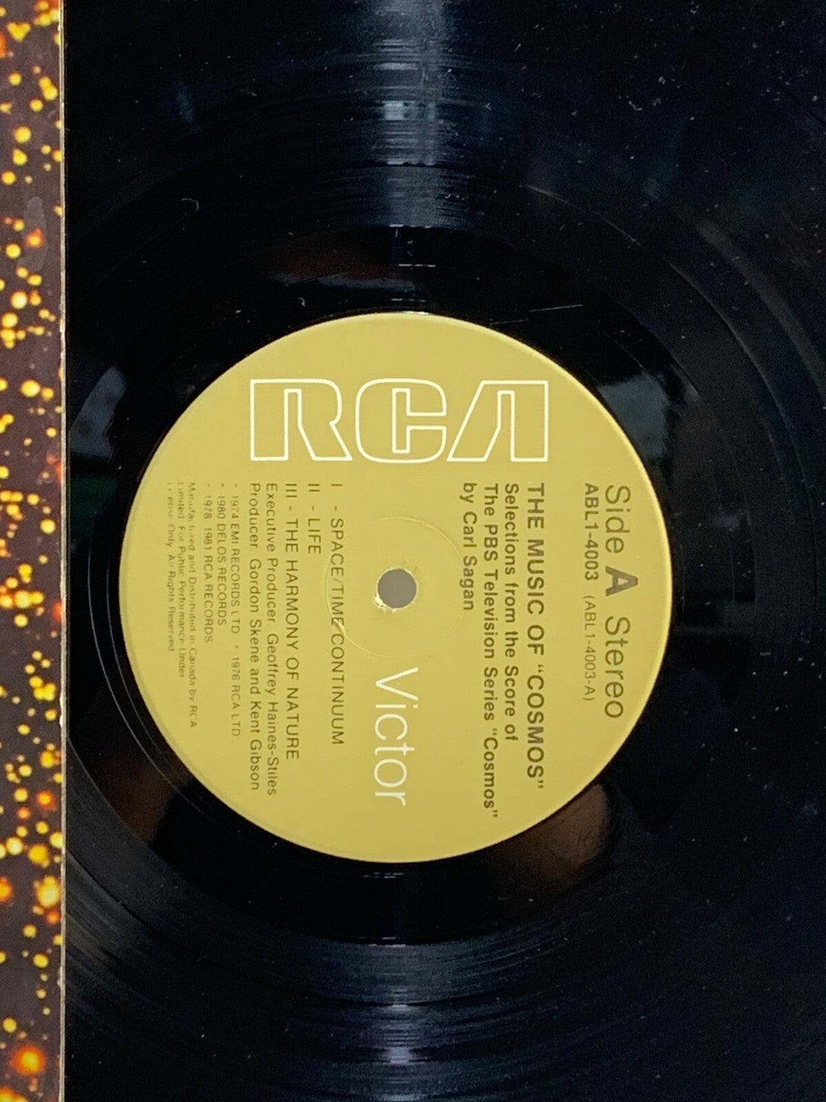 "The Music Of Cosmos" Vinyl Record