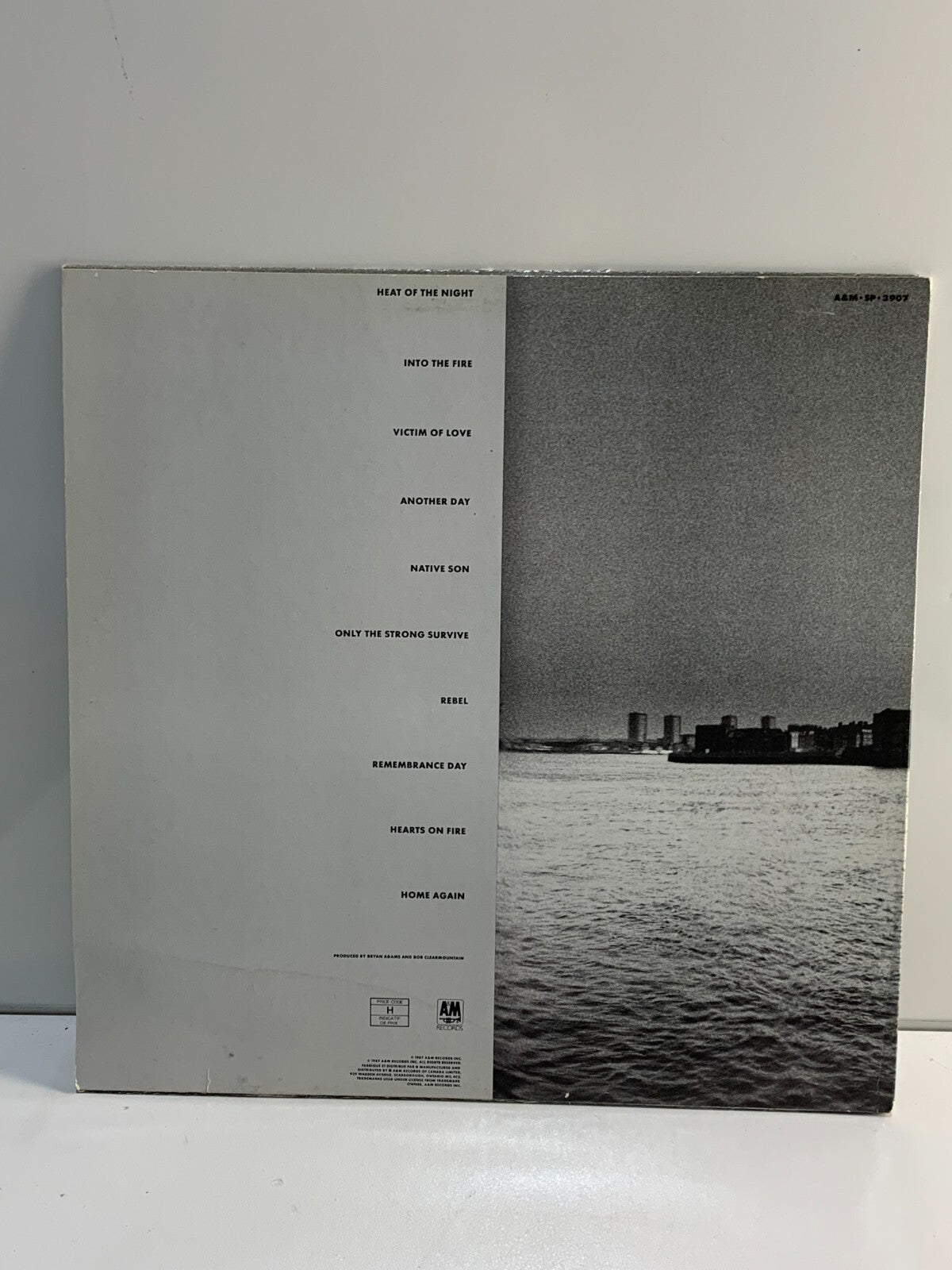 Bryan Adams - Into The Fire vinyl