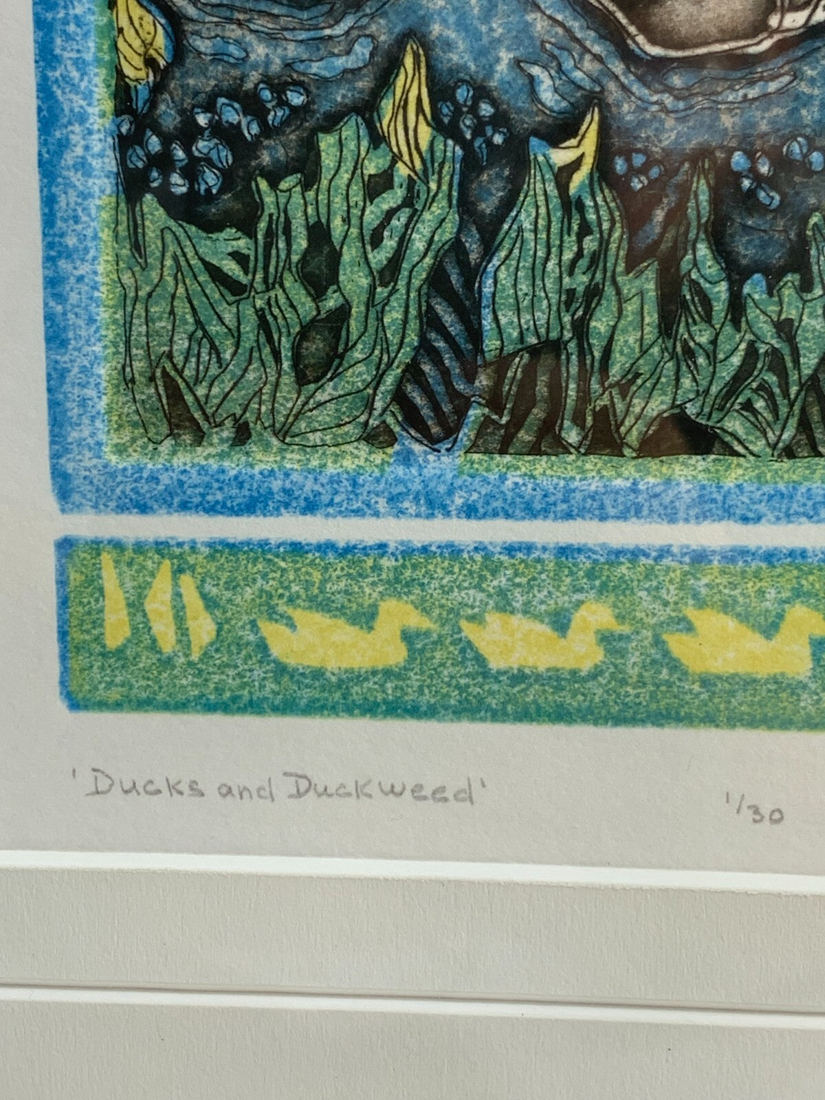 "Ducks and Duckweed" Painting by H. Mackie, 1/30