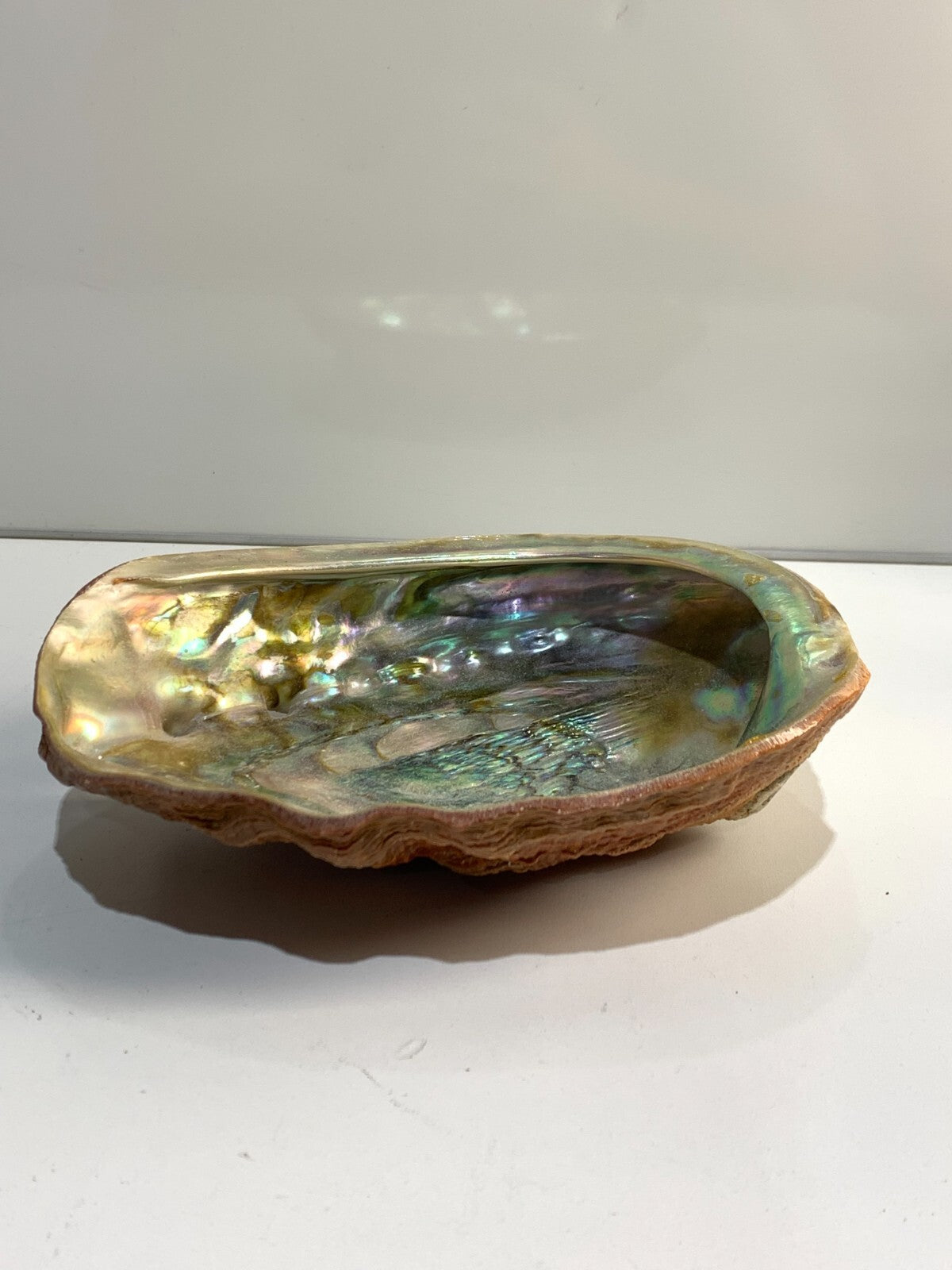 Vintage Iridescent Shell Trinket Dish