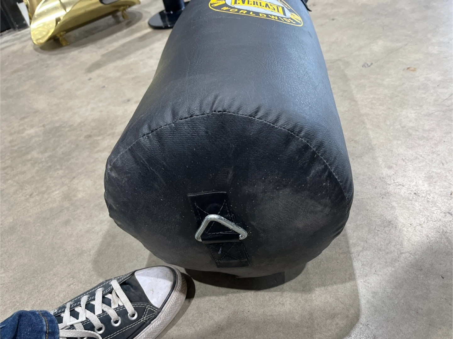 Everlast Worldwide Heavy Bag