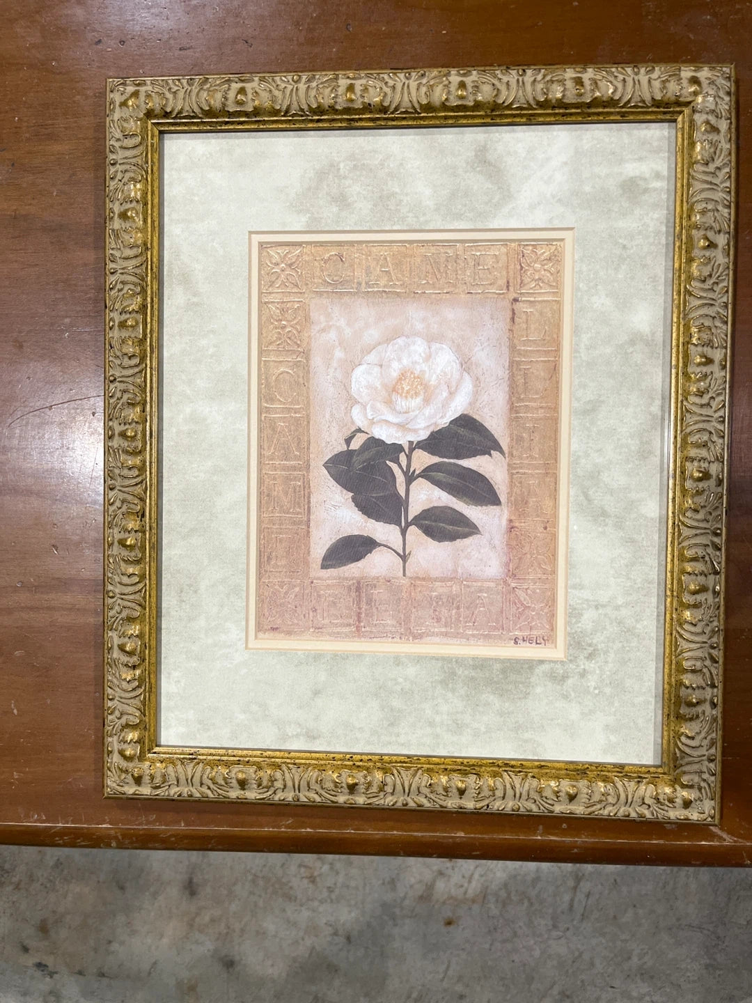 Framed floral art prints