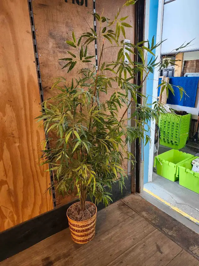 Faux Bamboo Plant- 6ft