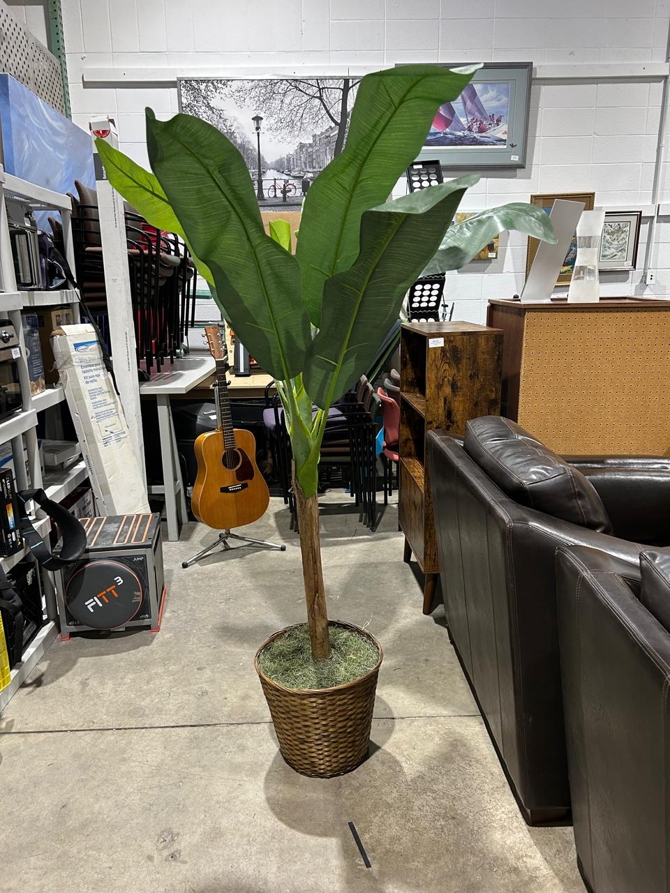 Faux Plant 1