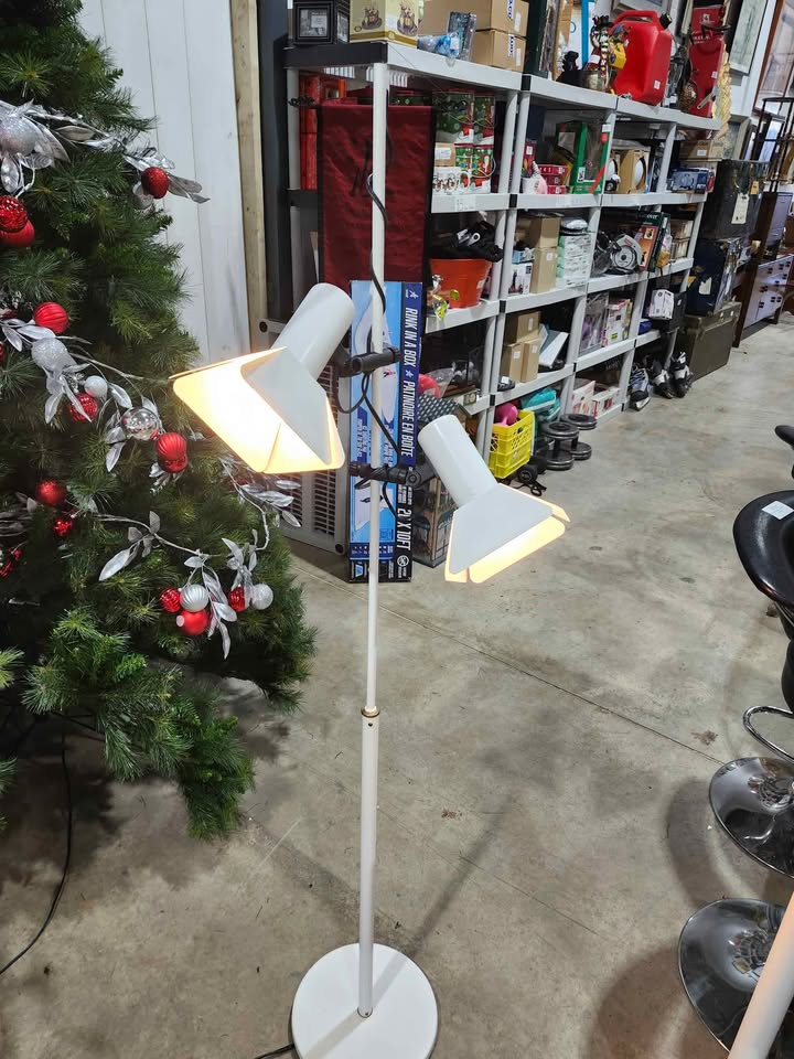 Double Spotlight Floor Lamp