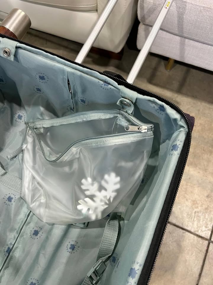 Luggage Set - Medium + Carry on