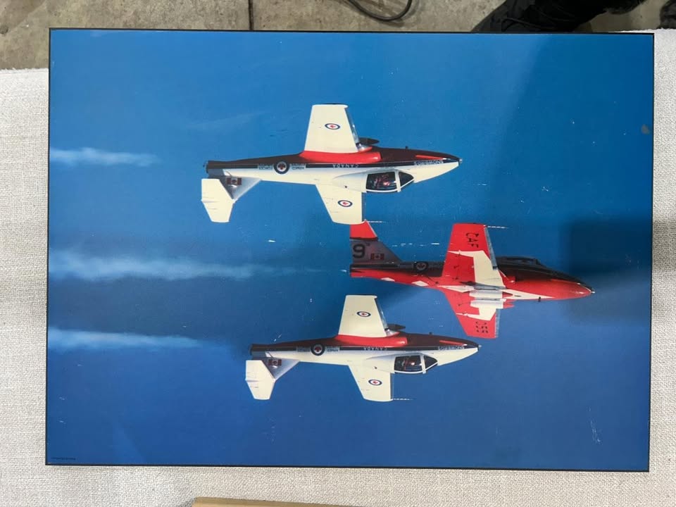 Air Force Solid Prints - 3 available