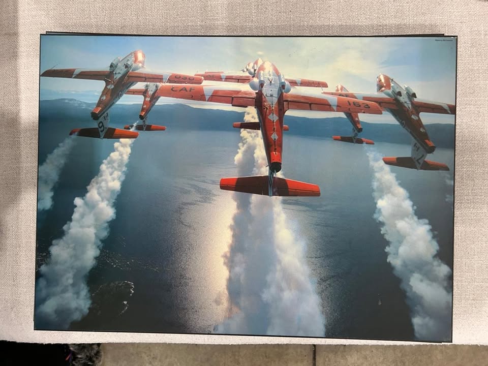 Air Force Solid Prints - 3 available
