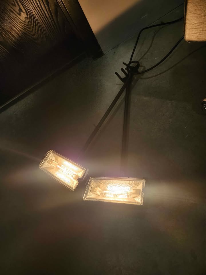 2x 200w Halogen lights with Stands