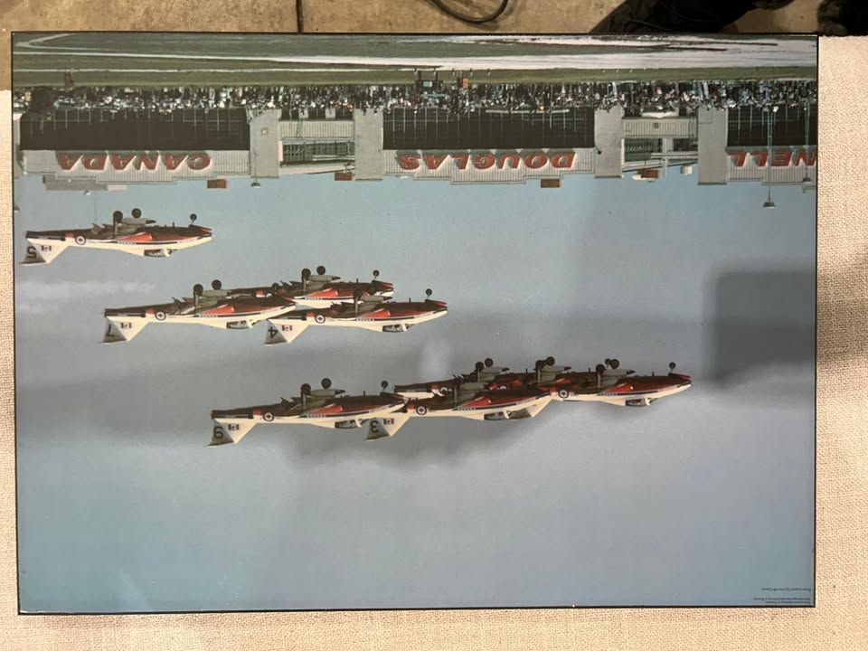 Air Force Solid Prints - 3 available