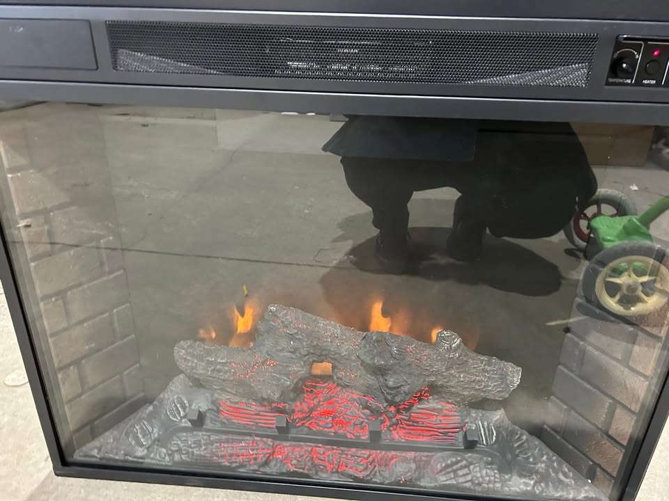 Twin Star International Electric Fireplace