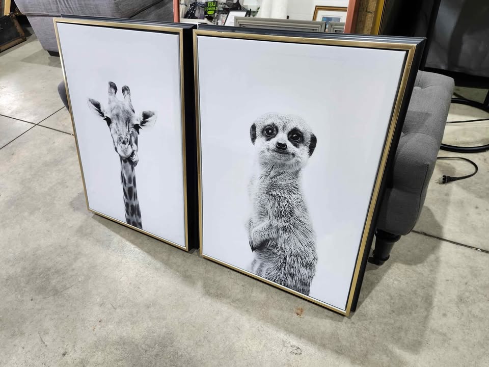 Black & White Animal Prints on Framed Canvas