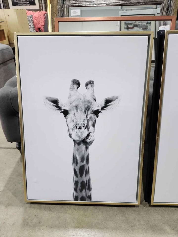 Black & White Animal Prints on Framed Canvas