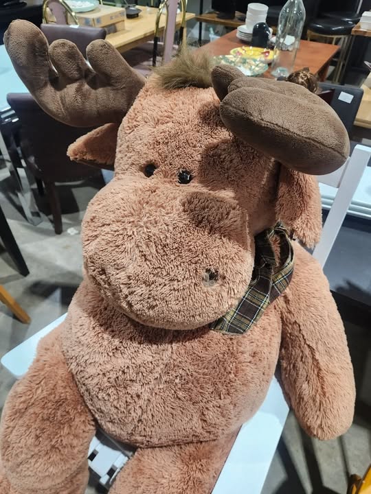 Giant Plush Moose - 53 inches