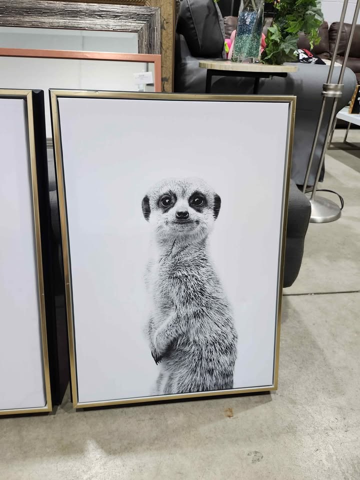 Black & White Animal Prints on Framed Canvas