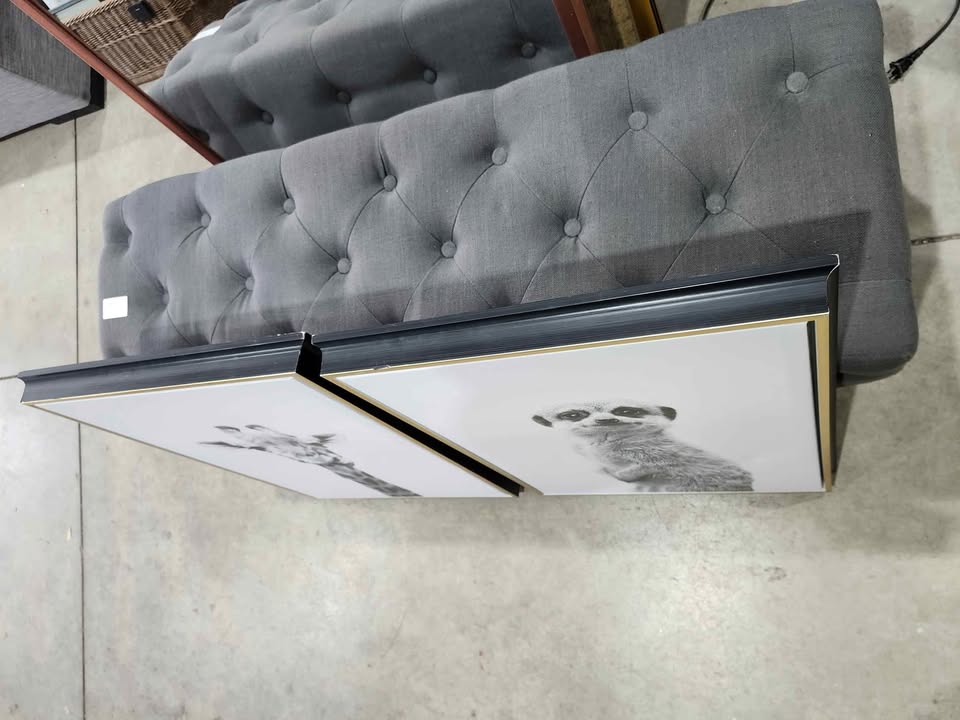 Black & White Animal Prints on Framed Canvas