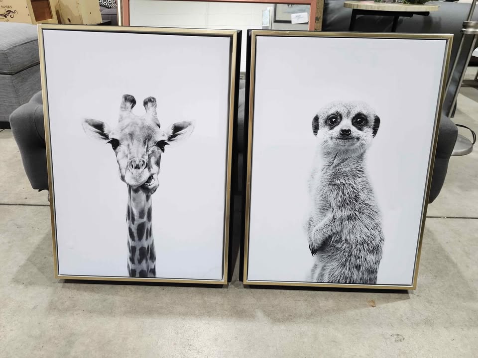 Black & White Animal Prints on Framed Canvas
