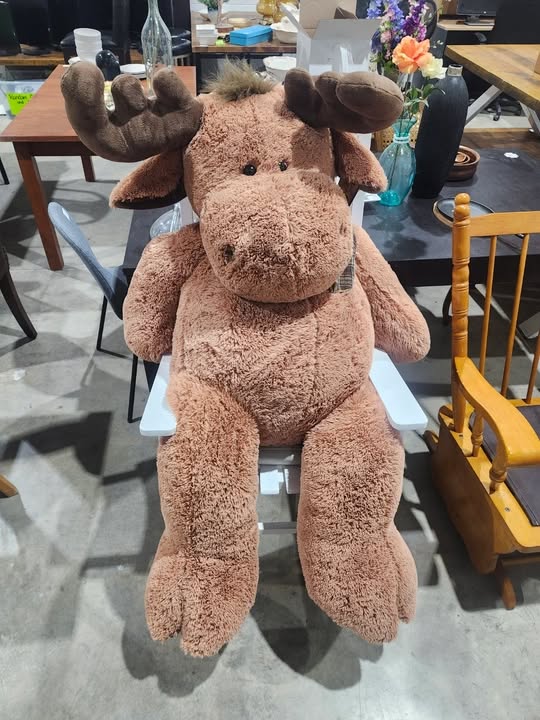 Giant Plush Moose - 53 inches