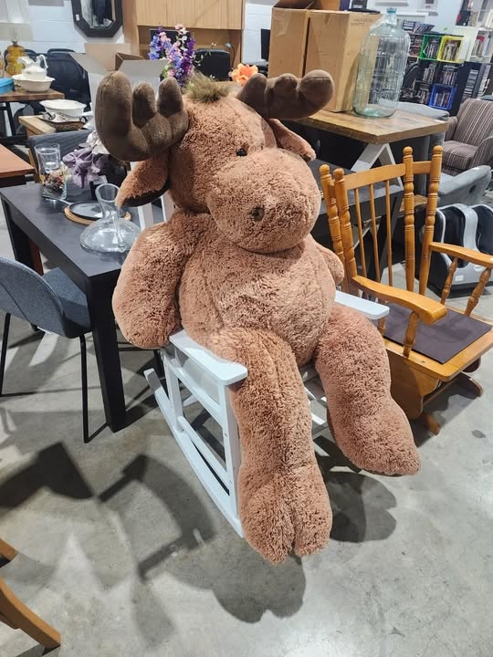 Giant Plush Moose - 53 inches