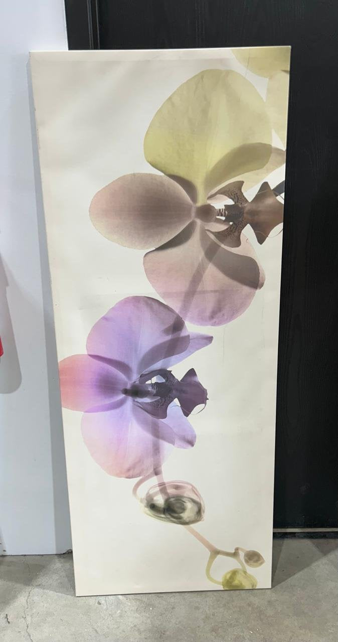 Orchid Canvas Wall Art