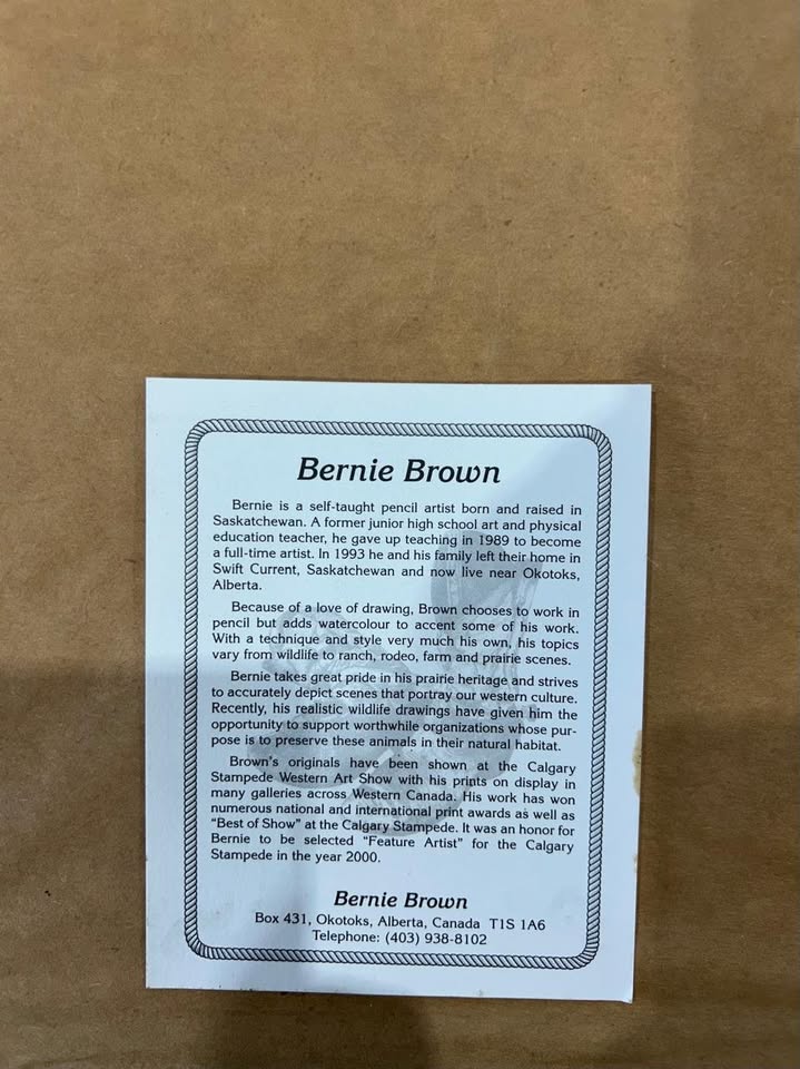 Bernie Brown Pencil Drawing - Horses in Birch Trees