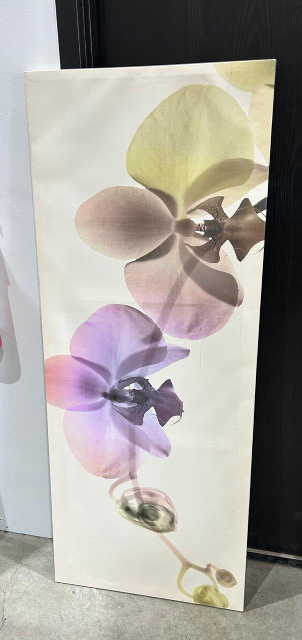 Orchid Canvas Wall Art