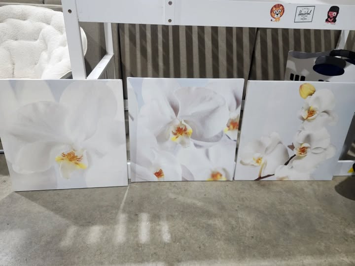 Set of 3 Ikea PJÄTTERYD white orchid canvas wall art