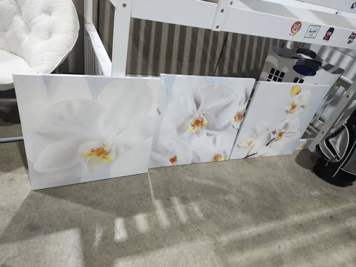 Set of 3 Ikea PJÄTTERYD white orchid canvas wall art