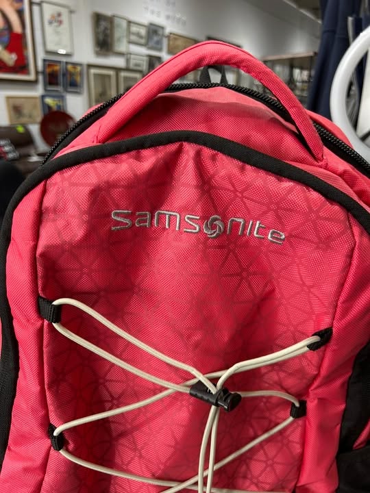 Samsonite Pink Laptop Backpack