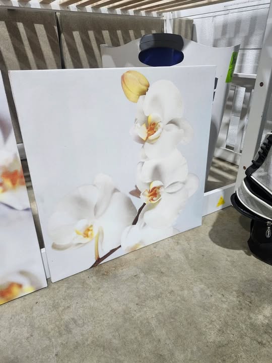 Set of 3 Ikea PJÄTTERYD white orchid canvas wall art