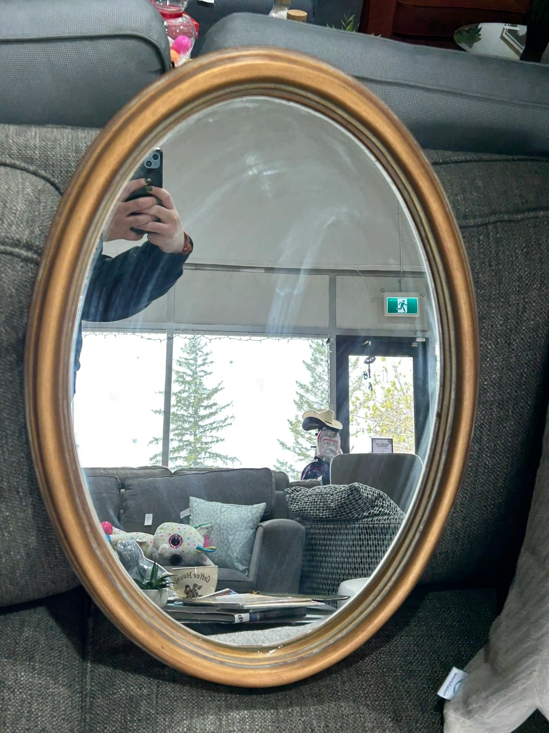 Oval Gold Framed Wall Mirror