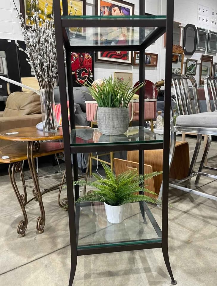 Glass and Metal 4-Tier Display Shelf