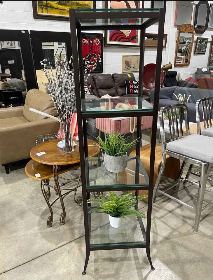 Glass and Metal 4-Tier Display Shelf