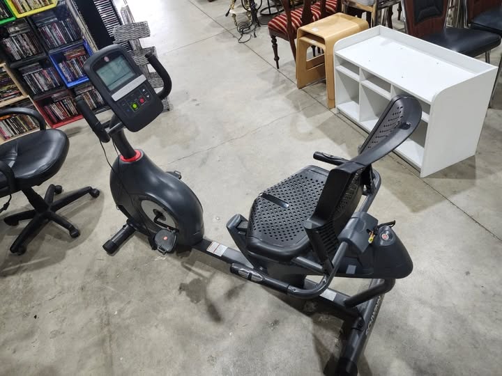 Schwinn 230 Recumbent Exercise Bike