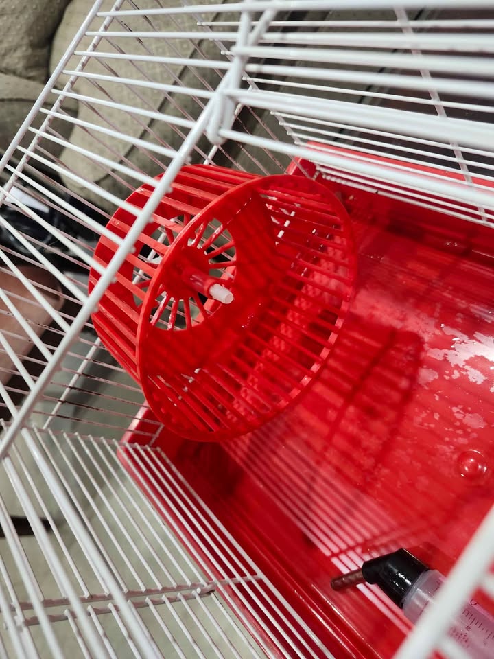 Hamster Cage with Exercise Wheel and Water Bottle