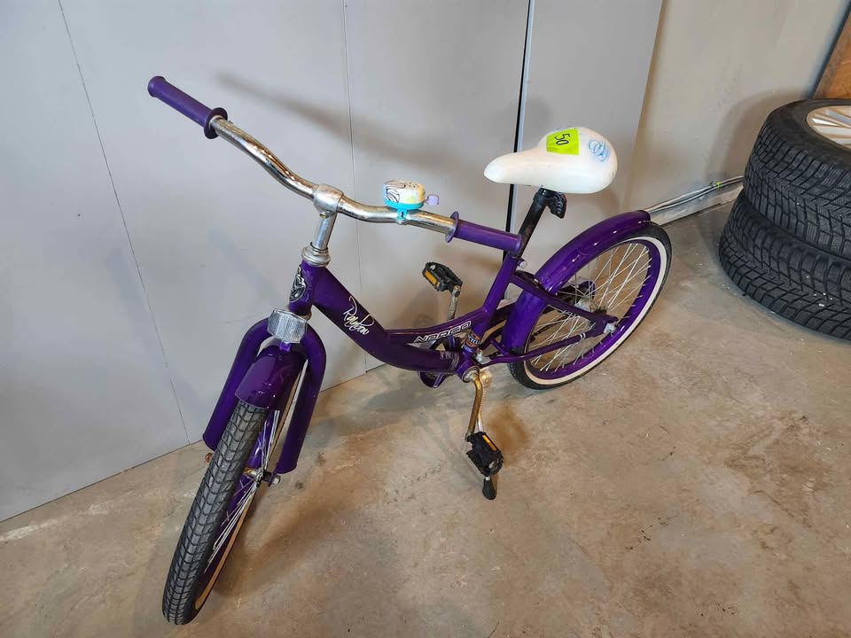 Purple Norco Rainbow Bike