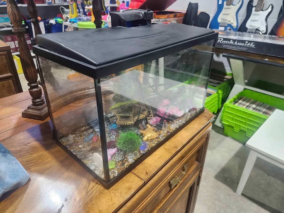 10 Gallon Fish Tank with Accessories