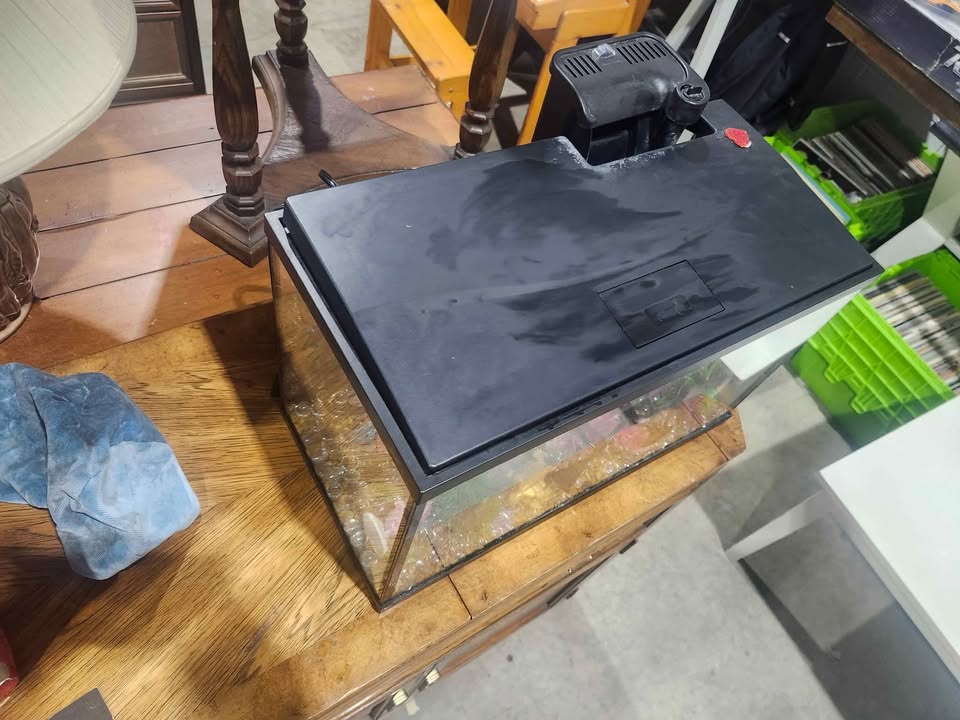 10 Gallon Fish Tank with Accessories
