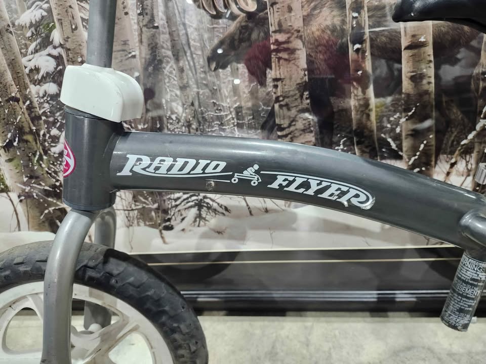 Radio Flyer Glide & Go Balance Bike