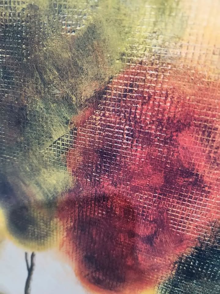 M. Klind Framed Canvas Print